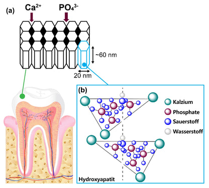 Blitzangebot 😍 – Nicht verpassen! – ODEIUN™ Mineralpulver zur Zahnreparatur 🦷 (von der BZÄK empfohlen) 👩‍⚕️ (Hilft bei Parodontitis und Mundgeschwüren, schützt vor Zahnverlust und unterstützt die Regeneration von zurückgehendem Zahnfleisch)
