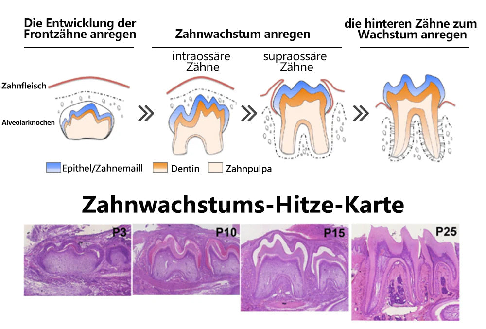 Blitzangebot 😍 – Nicht verpassen! – ODEIUN™ Mineralpulver zur Zahnreparatur 🦷 (von der BZÄK empfohlen) 👩‍⚕️ (Hilft bei Parodontitis und Mundgeschwüren, schützt vor Zahnverlust und unterstützt die Regeneration von zurückgehendem Zahnfleisch)
