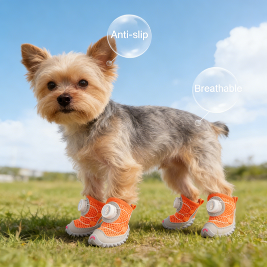 🔥Die #1 Hundeschuhe 2026 — neue, bequeme Pfotenschuhe jetzt 40 % RABATT!